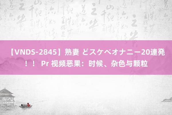 【VNDS-2845】熟妻 どスケベオナニー20連発！！ Pr 视频恶果：时候、杂色与颗粒