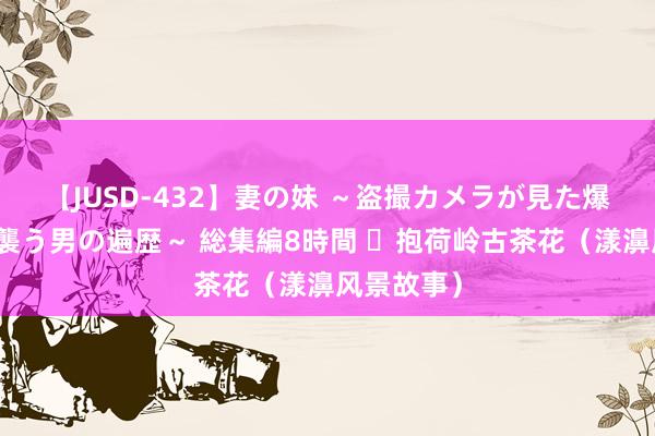 【JUSD-432】妻の妹 ～盗撮カメラが見た爆乳の妹を襲う男の遍歴～ 総集編8時間 ​抱荷岭古茶花（漾濞风景故事）