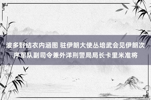 波多野结衣内涵图 驻伊朗大使丛培武会见伊朗次序军队副司令兼外洋刑警局局长卡里米准将