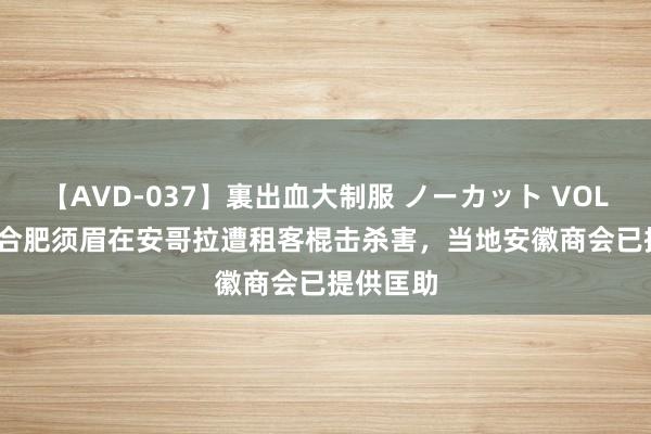 【AVD-037】裏出血大制服 ノーカット VOL.3 53岁合肥须眉在安哥拉遭租客棍击杀害，当地安徽商会已提供匡助