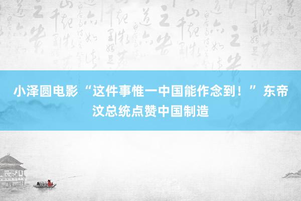 小泽圆电影 “这件事惟一中国能作念到！” 东帝汶总统点赞中国制造