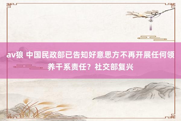 av狼 中国民政部已告知好意思方不再开展任何领养干系责任？社交部复兴