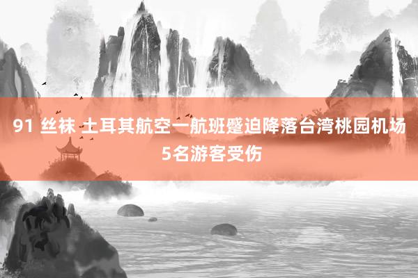 91 丝袜 土耳其航空一航班蹙迫降落台湾桃园机场 5名游客受伤