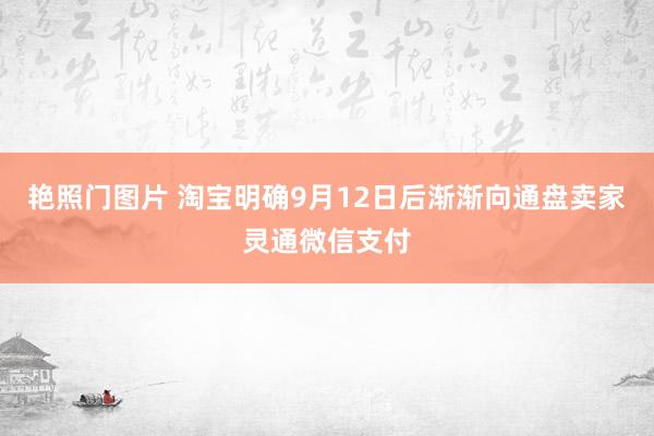 艳照门图片 淘宝明确9月12日后渐渐向通盘卖家灵通微信支付