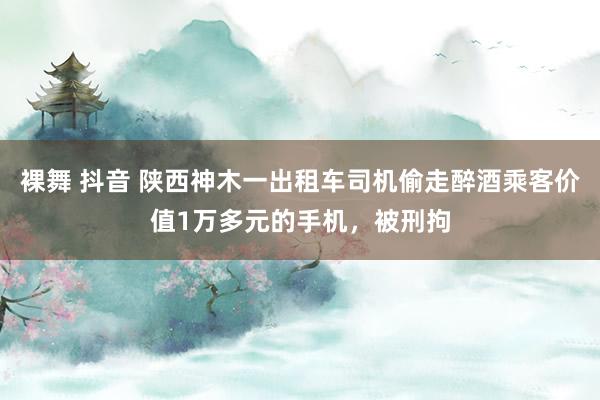 裸舞 抖音 陕西神木一出租车司机偷走醉酒乘客价值1万多元的手机，被刑拘