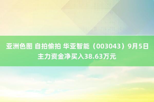 亚洲色图 自拍偷拍 华亚智能（003043）9月5日主力资金净买入38.63万元