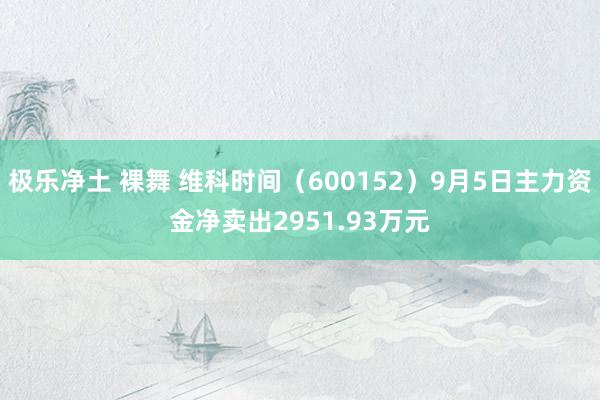 极乐净土 裸舞 维科时间（600152）9月5日主力资金净卖出2951.93万元