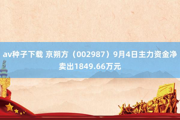 av种子下载 京朔方（002987）9月4日主力资金净卖出1849.66万元