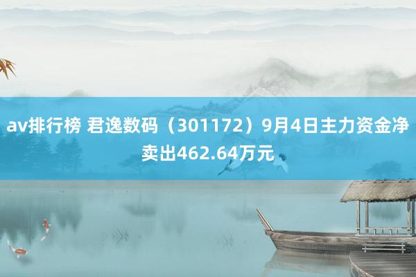 av排行榜 君逸数码（301172）9月4日主力资金净卖出462.64万元