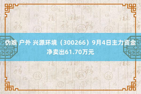 伪娘 户外 兴源环境（300266）9月4日主力资金净卖出61.70万元