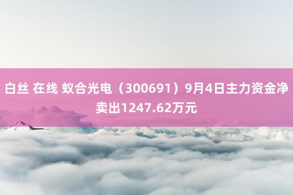 白丝 在线 蚁合光电（300691）9月4日主力资金净卖出1247.62万元