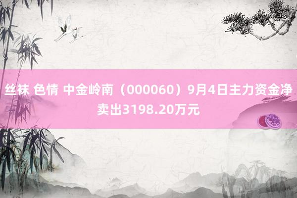 丝袜 色情 中金岭南（000060）9月4日主力资金净卖出3198.20万元