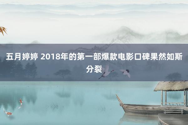 五月婷婷 2018年的第一部爆款电影口碑果然如斯分裂