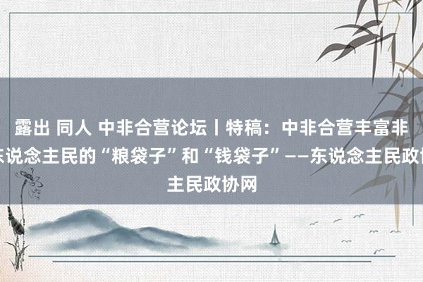 露出 同人 中非合营论坛丨特稿：中非合营丰富非洲东说念主民的“粮袋子”和“钱袋子”——东说念主民政协网