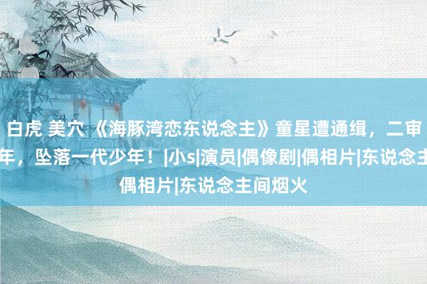 白虎 美穴 《海豚湾恋东说念主》童星遭通缉，二审重判19年，坠落一代少年！|小s|演员|偶像剧|偶相片|东说念主间烟火