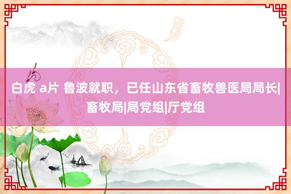 白虎 a片 鲁波就职，已任山东省畜牧兽医局局长|畜牧局|局党组|厅党组